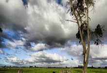 小米公司新闻动态,小米集团重大新闻