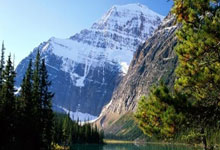 新闻动态网官网入口下载,新闻动态页面